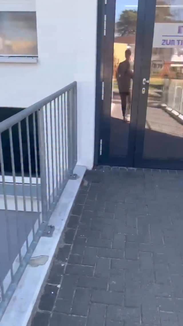 Ihr habt euch gefragt, was wir während des Einbaus der Klimaanlage treiben? 😅

Wir krempeln selbst die Ärmel hoch und gestalten unsere Personalräume um – damit schon ganz bald das lang ersehnte Katzenbehandlungszimmer entstehen kann! 😍🐾

Und ja, der Spaß kommt dabei definitiv nicht zu kurz! 💪✨ Schon damals vor der Eröffnung haben wir gemerkt: Gemeinsam anzupacken, zu renovieren und mal aus dem Alltag auszubrechen, lässt unser Team nochmal ganz besonders zusammenwachsen. 🙏🥰