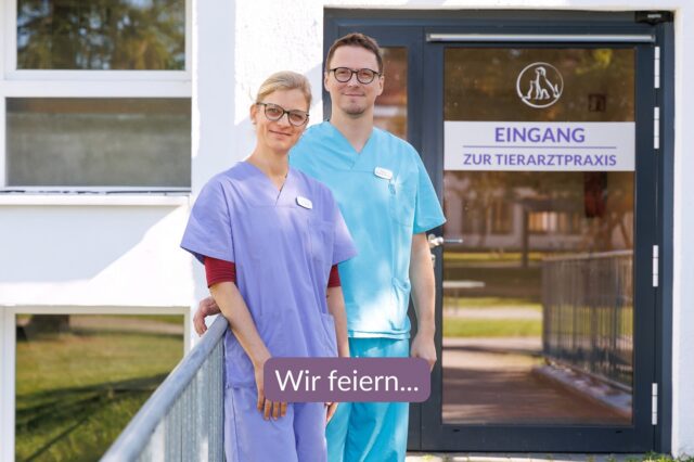 🐾 1 Jahr Praxis – Ein herzliches Dankeschön an unsere Kund:innen und Fellnasen 🐾

Heute dürfen wir ein kleines Jubiläum feiern: Vor genau einem Jahr öffnete unsere Tierarztpraxis zum ersten Mal ihre Türen. Ein Jahr voller spannender Herausforderungen, wertvoller Erfahrungen und vor allem vieler berührender Momente mit Ihnen und Ihren tierischen Begleiter:innen.

Wir möchten diese Gelegenheit nutzen, um allen zu danken, die uns auf diesem Weg unterstützt haben:

• Unseren Kund:innen und deren Tieren, die uns ihr Vertrauen schenken und uns die Möglichkeit geben, Ihre Lieblinge bestmöglich zu betreuen.
• Unserem engagierten Team, das jeden Tag mit Kompetenz, Herz und Leidenschaft dafür sorgt, dass sich Mensch und Tier bei uns wohlfühlen.
• Unseren tierischen Patient:innen, die uns täglich daran erinnern, warum wir unseren Beruf mit so viel Begeisterung ausüben.

Dieses erste Jahr hat uns gezeigt, wie wichtig Vertrauen, Kommunikation und ein respektvoller Umgang mit Tier und Mensch sind. Wir freuen uns darauf, weiterhin qualitativ hochwertige tiermedizinische Betreuung zu bieten, Ihr Ansprechpartner für alle Fragen rund um die Gesundheit Ihrer Tiere zu sein und gemeinsam mit Ihnen die nächsten Jahre erfolgreich zu gestalten.

Von Herzen: Danke, dass Sie Teil unserer Reise sind. Auf viele weitere Jahre voller Gesundheit, Fürsorge und tierischer Freude! 🐶🐱