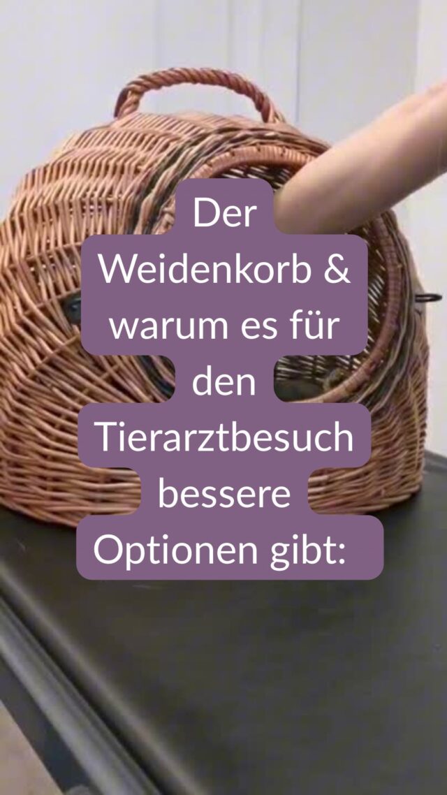 Der Weidenkorb – hübsch, aber wirklich praktisch? 🧺❌
Optisch ist der Weidenkorb ohne Frage ein echter Hingucker – viele Tierhalter lieben das natürliche Design. Doch für den Tierarztbesuch ist er leider alles andere als ideal. 🙈
Was zu Hause ein gemütliches Versteck ist, wird in der Praxis schnell zum Problem: Die enge Öffnung macht es nahezu unmöglich, das Tier stressfrei herauszunehmen. 😿 Ohne vorher die Umgebung wahrnehmen zu können, wird der Patient aus dem Korb gezogen – das sorgt für zusätzlichen Stress.
Anders sieht es bei modernen Transportboxen aus: Viele lassen sich oben komplett öffnen. 🔓 Dadurch kann die Untersuchung sogar direkt in der Box erfolgen – das Tier bleibt in seiner vertrauten Umgebung und kann sich entspannt umsehen. 🐾
Gerade bei ängstlichen oder gestressten Tieren fehlt im Weidenkorb jede Möglichkeit, sicher mit dem Patienten zu arbeiten – für Tier und Tierarzt eine gefährliche Situation. 🦷🐾
👉 Unser Tipp: Tut euch und eurem Tierarzt einen Gefallen – wählt eine praktische und sichere Transportbox!

💬 Kennt ihr jemanden, der solch einen Weidenkorb nutzt und dieses Video sehen sollte? Dann teilt das Video doch gern!
