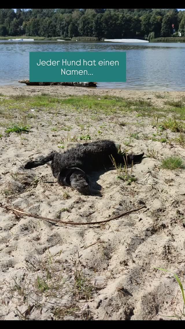 Welche zusätzlichen Namen haben eure Tiere? 🐾
Schreibt sie in die Kommentare ⬇️ 🥰